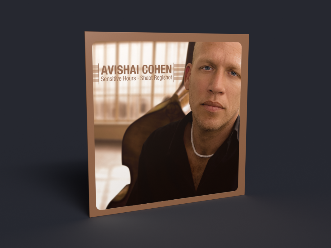 Sensitive Hours – ‘Shaot Regishot’ – Vinyl